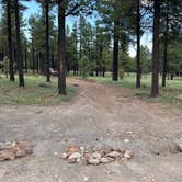 Review photo of Sunset Crater by Mark R., August 7, 2026