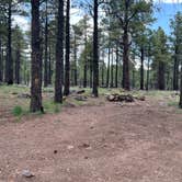 Review photo of Sunset Crater by Mark R., August 7, 2026