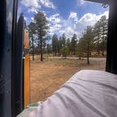 Review photo of Sunset Crater by shelby B., May 25, 2026