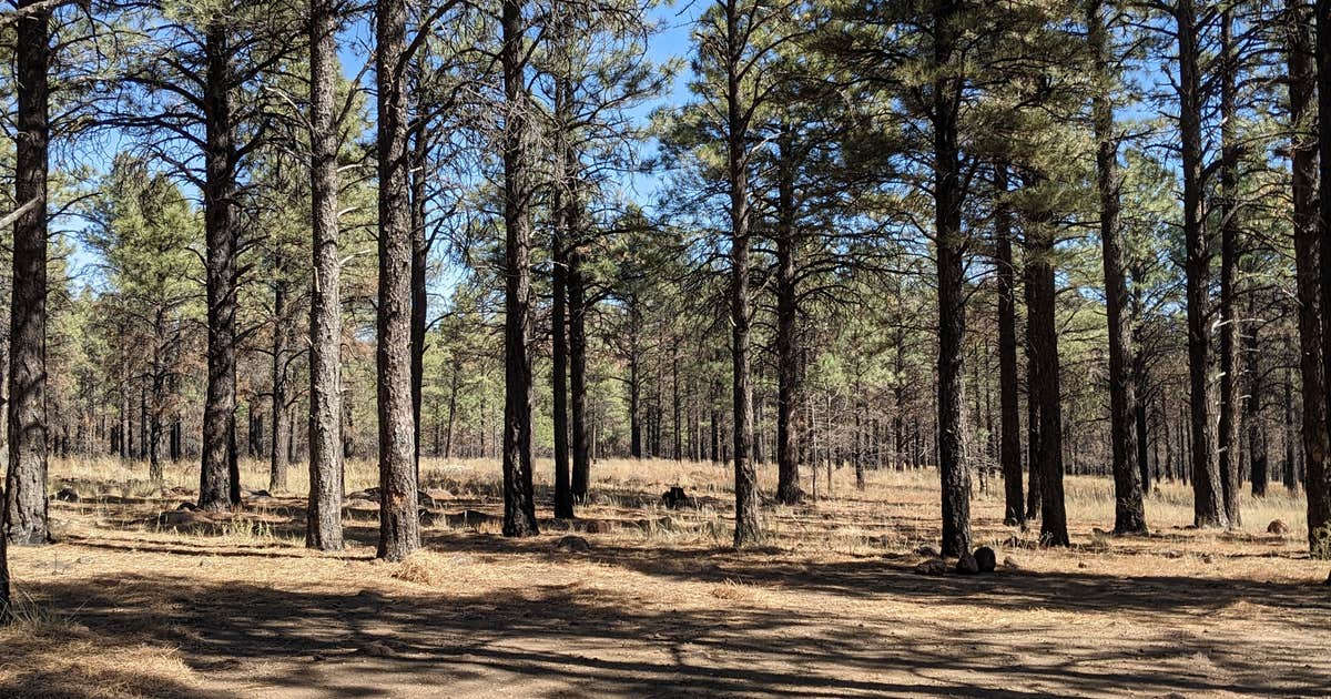 Sunset Crater