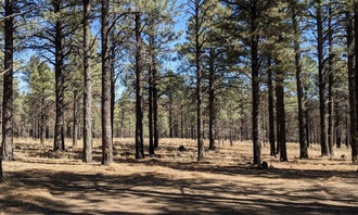 Camping near Cinder Hills Off Highway Vehicle Area: Sunset Crater, Flagstaff, Arizona