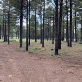 Review photo of Sunset Crater by Mark R., August 7, 2026