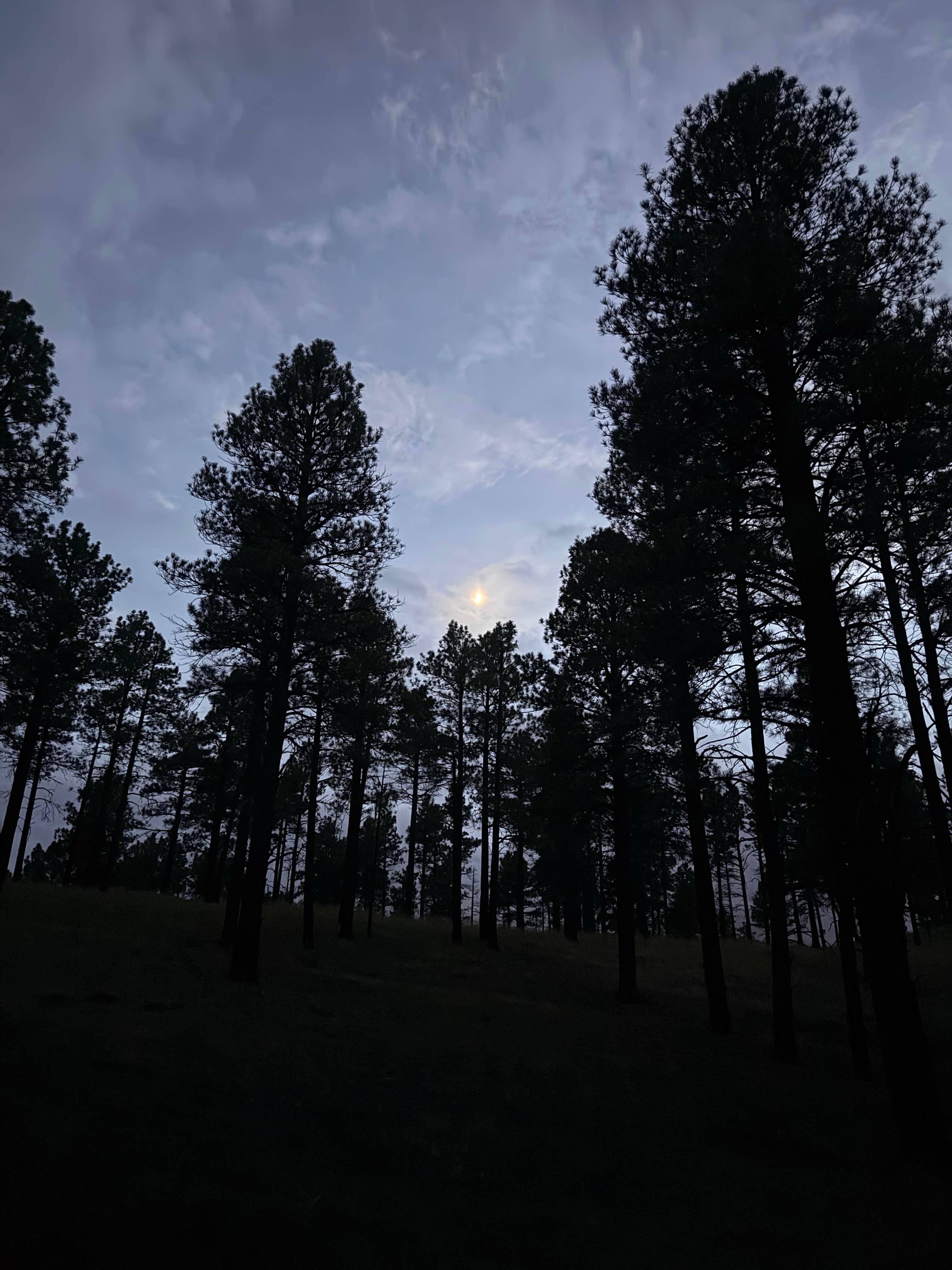 Camping near Grand Canyon Oasis: Sunset Crater Volcano National Monument, Flagstaff, Arizona