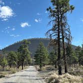 Review photo of Cinder Hills Dispersed Site by David H., July 7, 2025