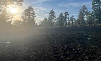 Camping near Lockett Meadow Dispersed Camping: Cinder Hills Dispersed Site, Flagstaff, Arizona