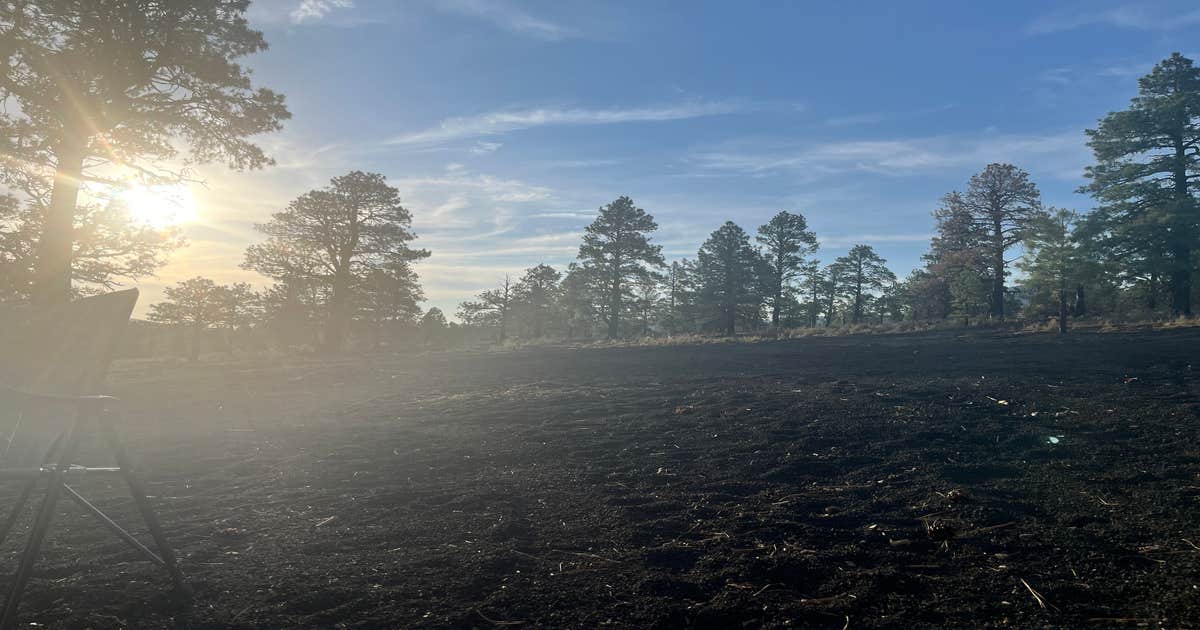 Cinder Hills Dispersed Site Camping | Flagstaff, Arizona