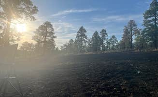 michael D.'s photo of a dispersed camping area at Cinder Hills Dispersed Site near Leupp, AZ