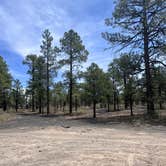 Review photo of Cinder Hills Dispersed Site by Jorge C., May 27, 2025