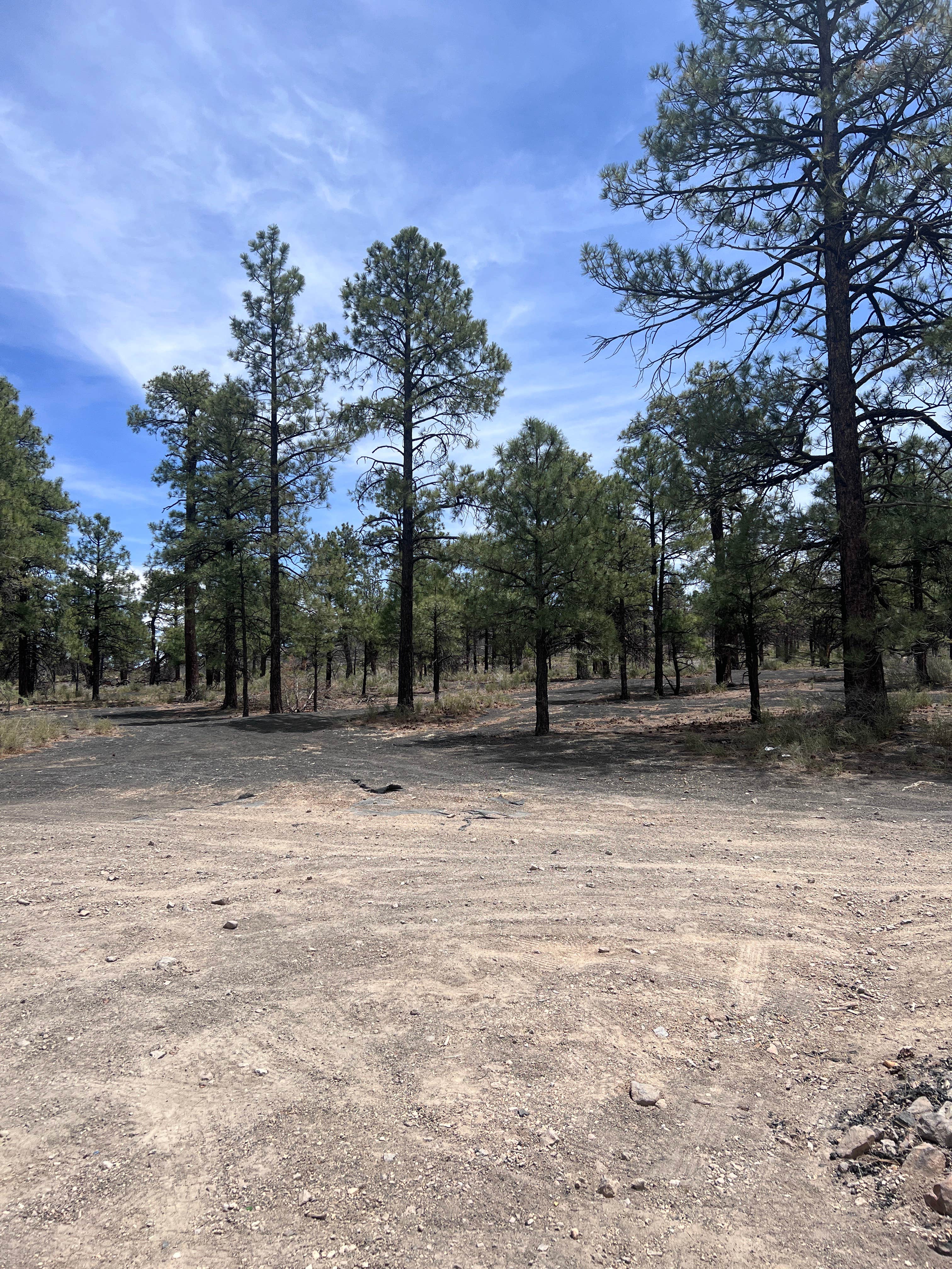 Camper submitted image from Cinder Hills Dispersed Site - 2