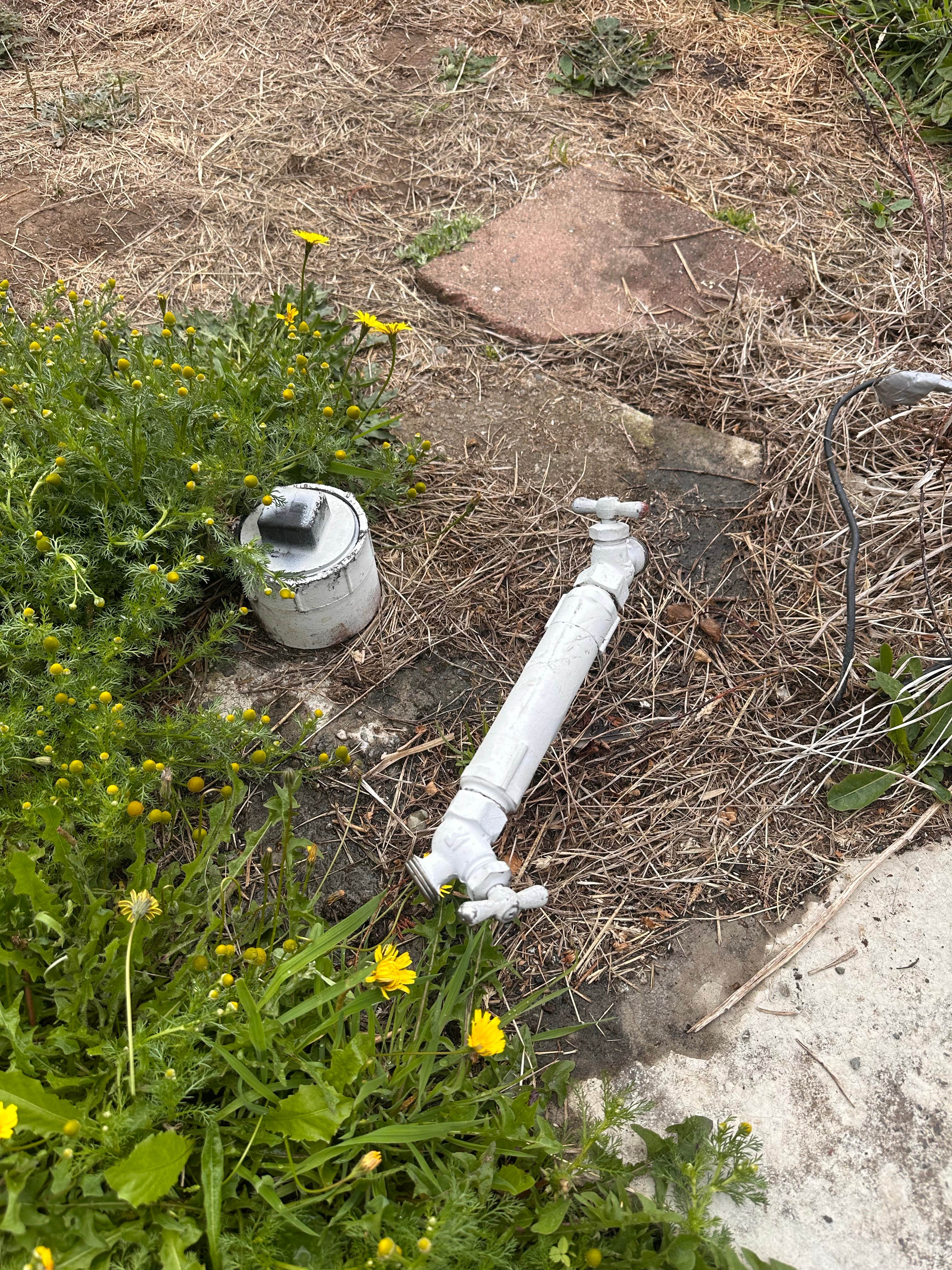 Camper-submitted photo at Sunset Harbor RV Park near Crescent City, CA