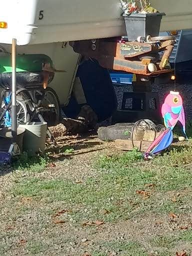 Camper-submitted photo at Sunset Landing RV Park near Logsden, OR