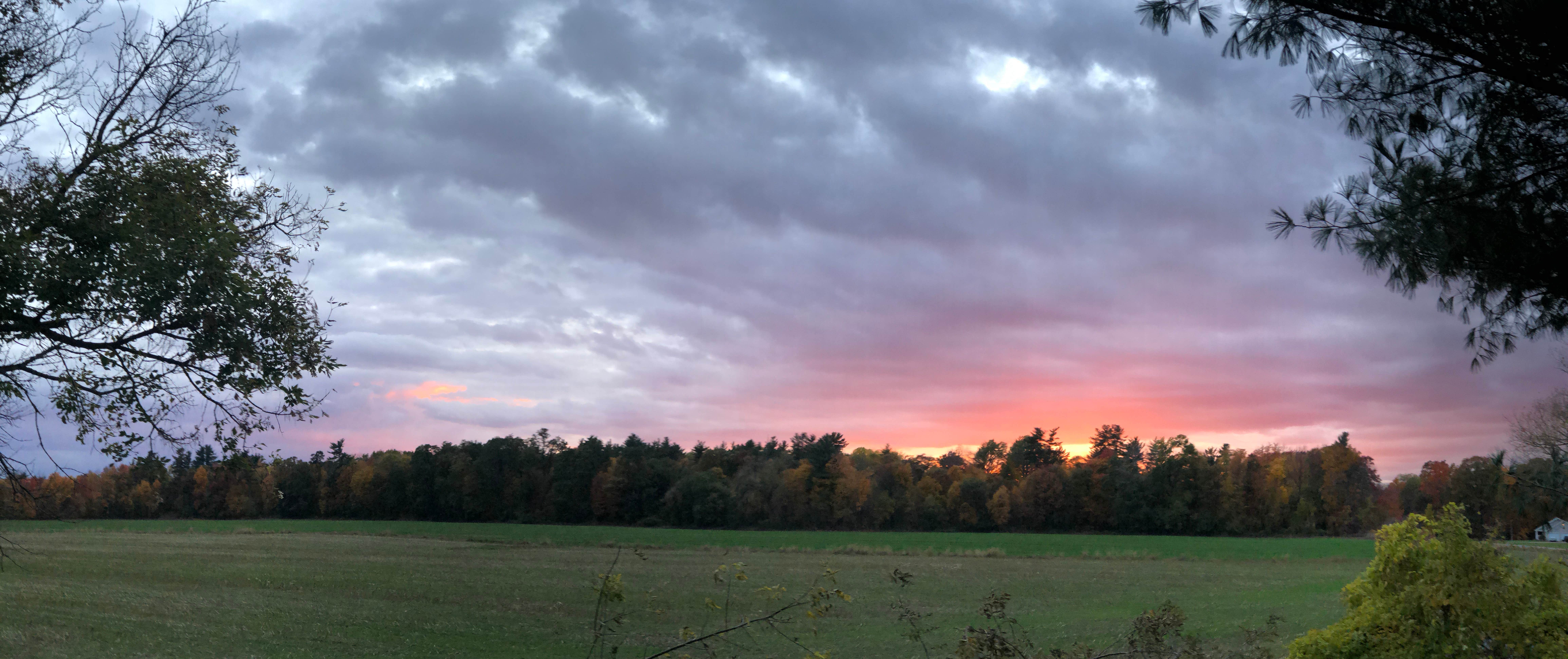 Nature