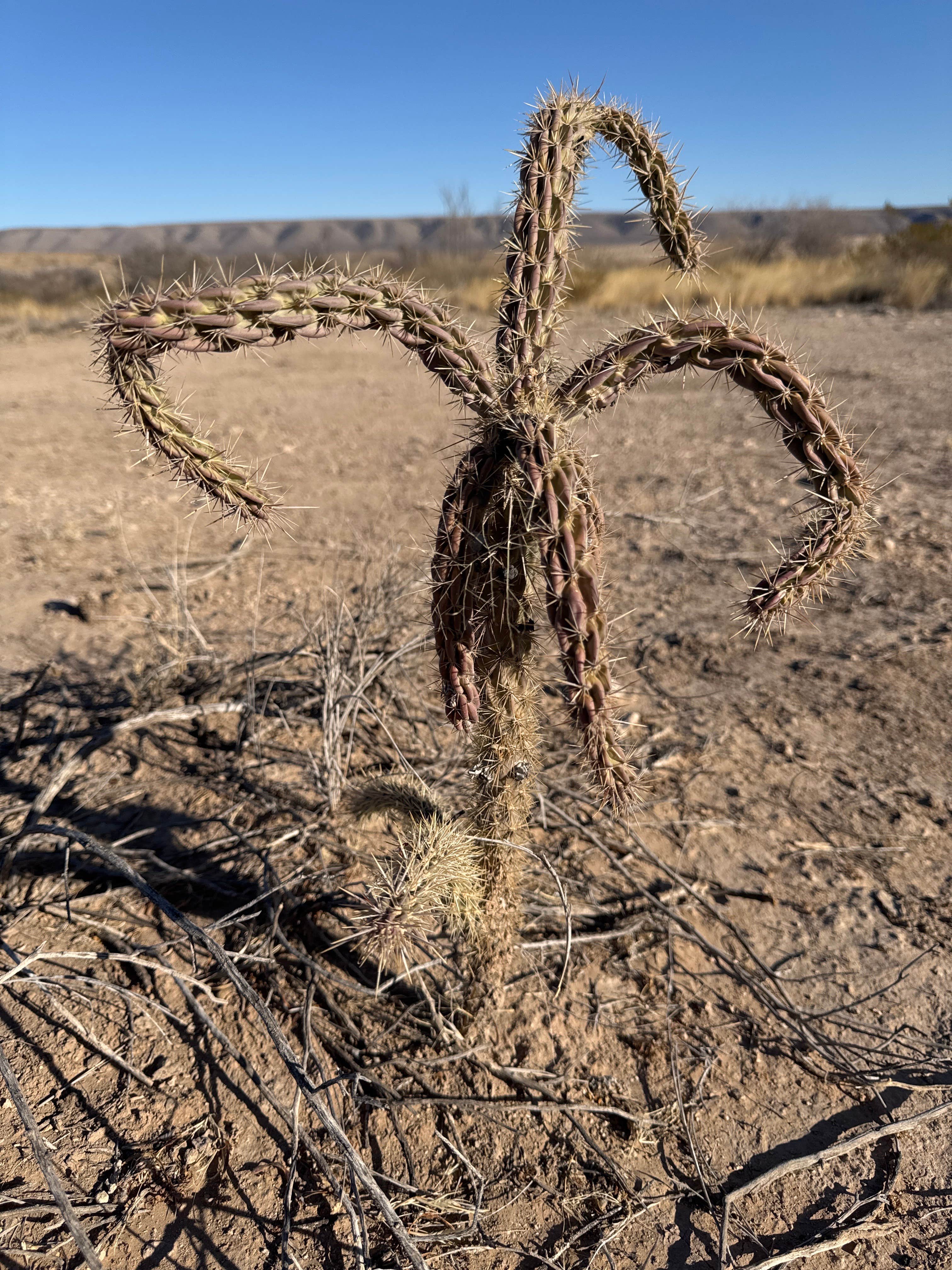 Camper-submitted photo at Sunset Reef Campground in New Mexico