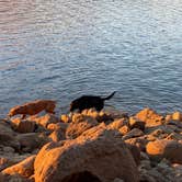 Review photo of Union Valley Reservoir by Rebecca J., August 10, 2024