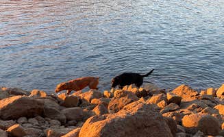 Rebecca J.'s photo of camping with pets at Union Valley Reservoir near Eldorado National Forest