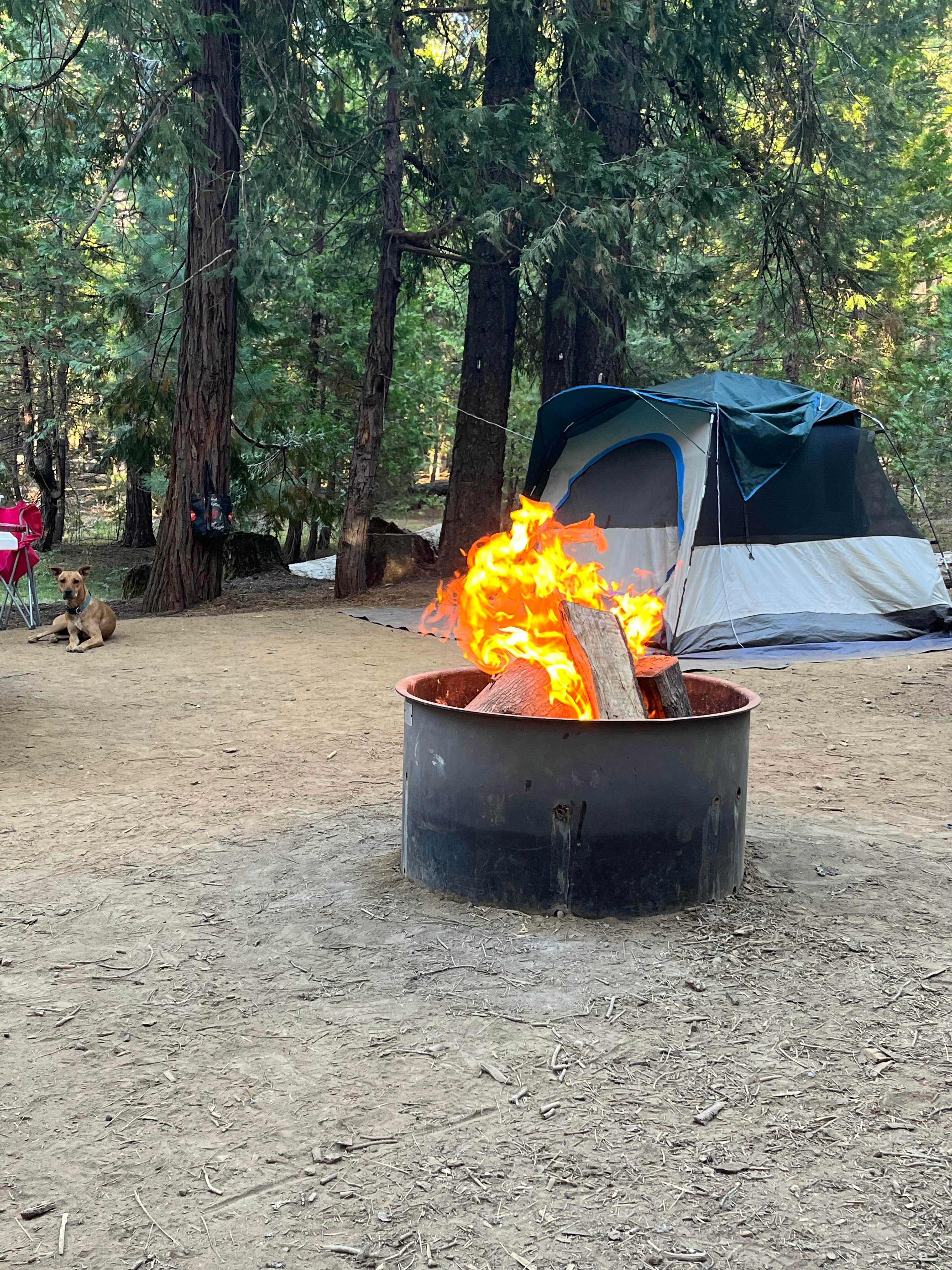 Rebecca J.'s photo at Union Valley Reservoir near Kyburz, CA