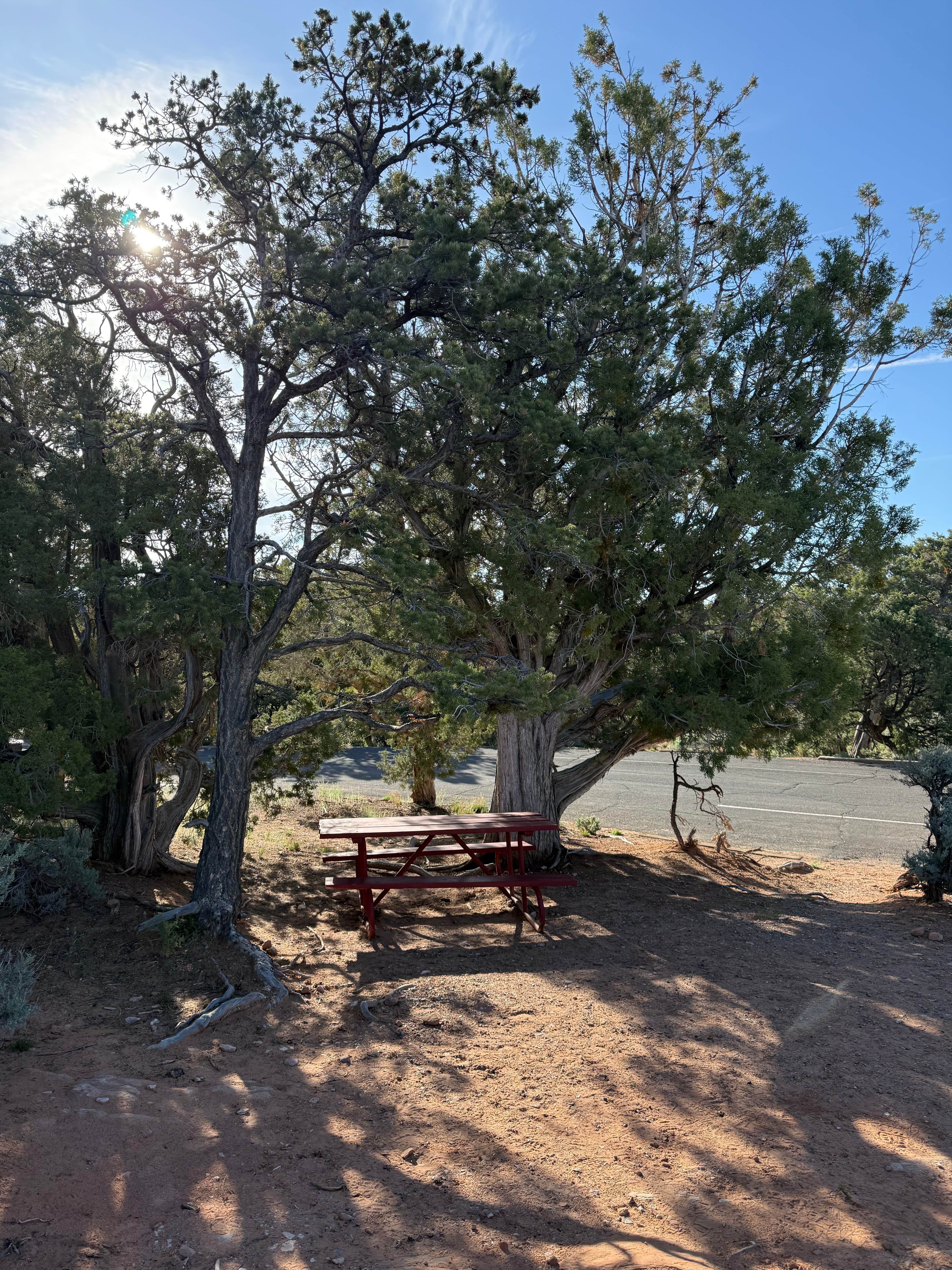 Camper-submitted photo at sunset view free campground near Tonalea, AZ