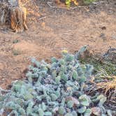 Review photo of sunset view free campground by kevin M., December 11, 2025