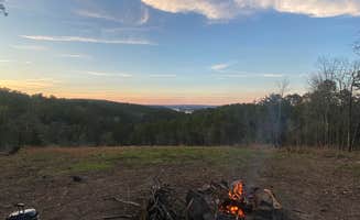 Dominique M.'s photo at Sunsets on the Arkansas River Site near Maumelle, AR