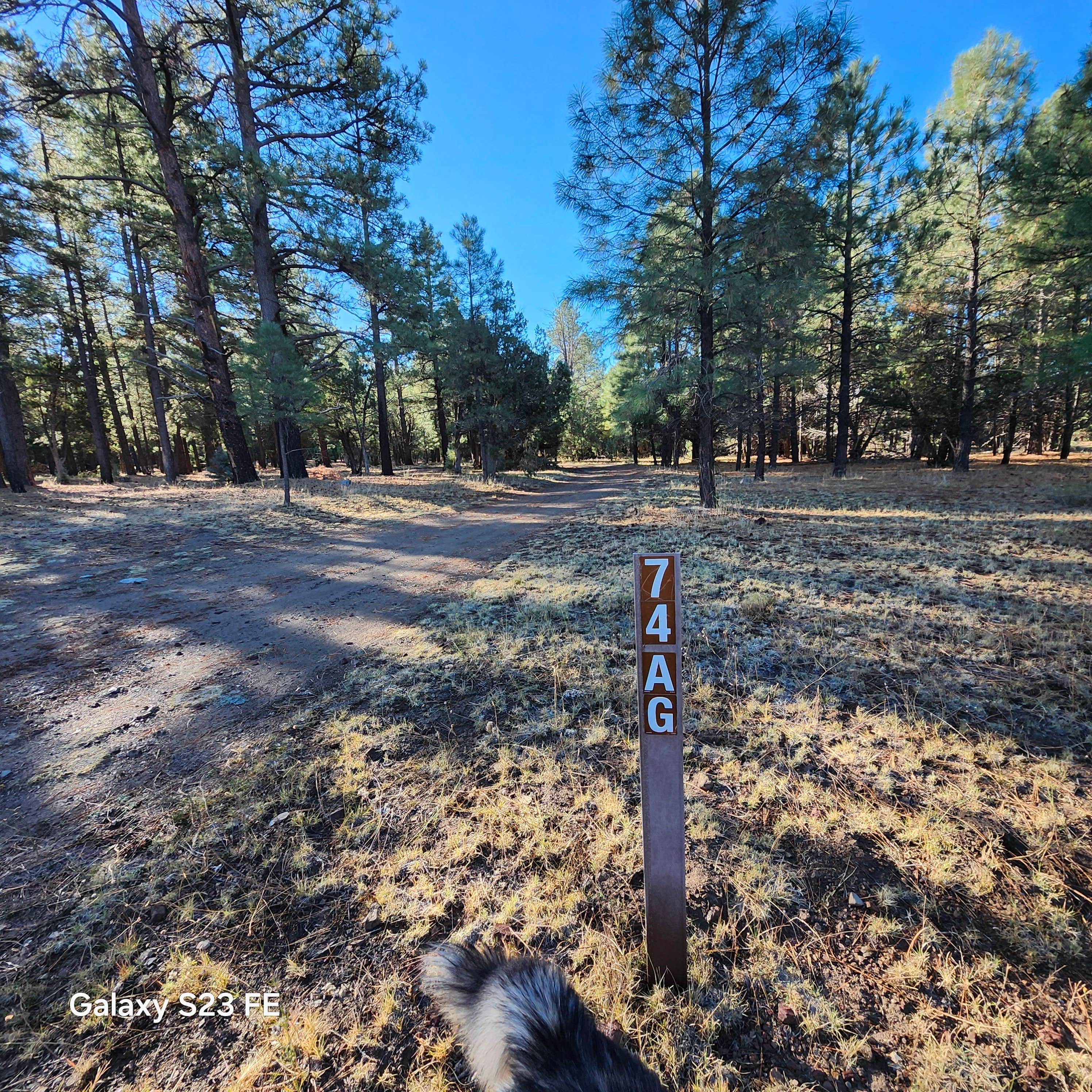 super secret camp spot 1