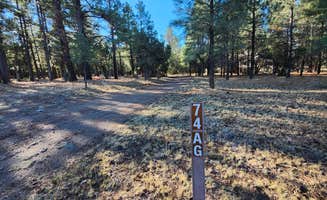 Victoria J.'s photo of camping with pets at super secret camp spot 1 near Kaibab National Forest