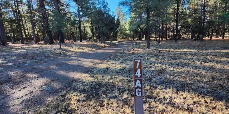 Camper submitted image from super secret camp spot 1