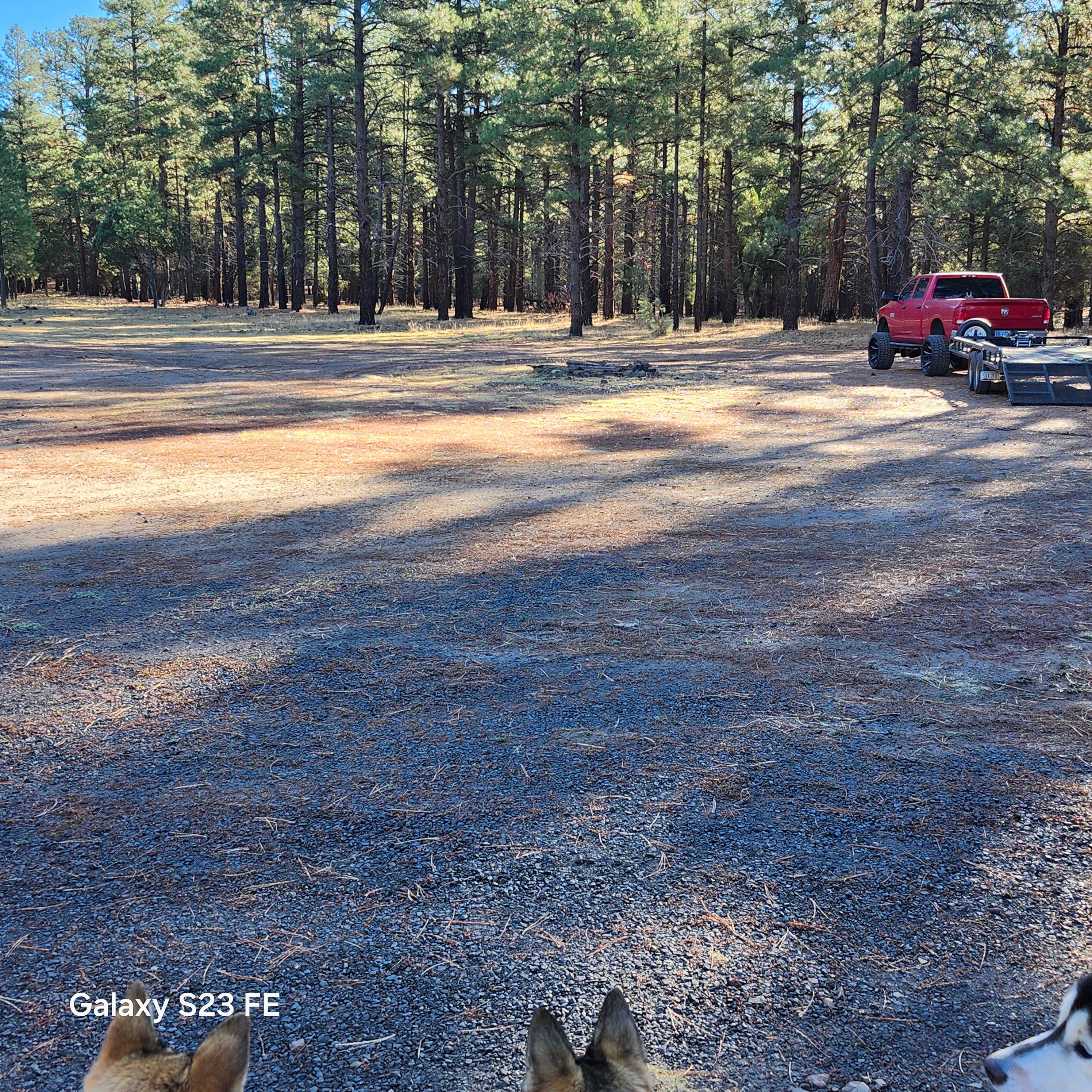 Camper-submitted photo at super secret camp spot 1 near Williams, AZ