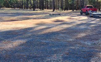 Victoria J.'s photo of camping with pets at super secret camp spot 1 near Kaibab National Forest