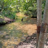 Review photo of Superior Dispersed Site by Glen B., July 30, 2026