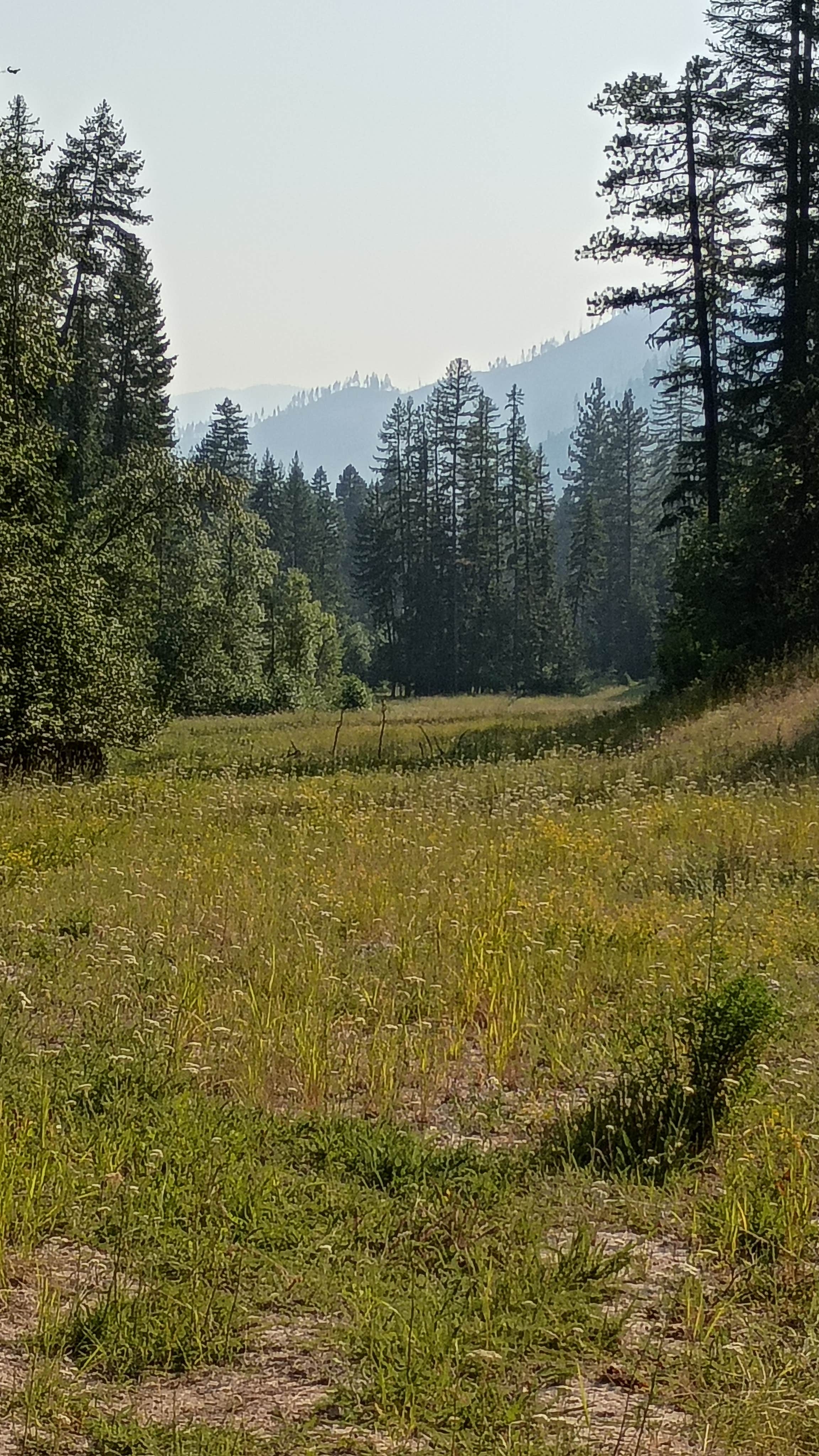 Camping near River's Edge Glamping: Superior Dispersed Site, Superior, Montana