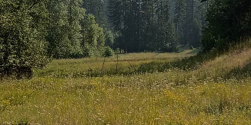 Camper submitted image from Superior Dispersed Site
