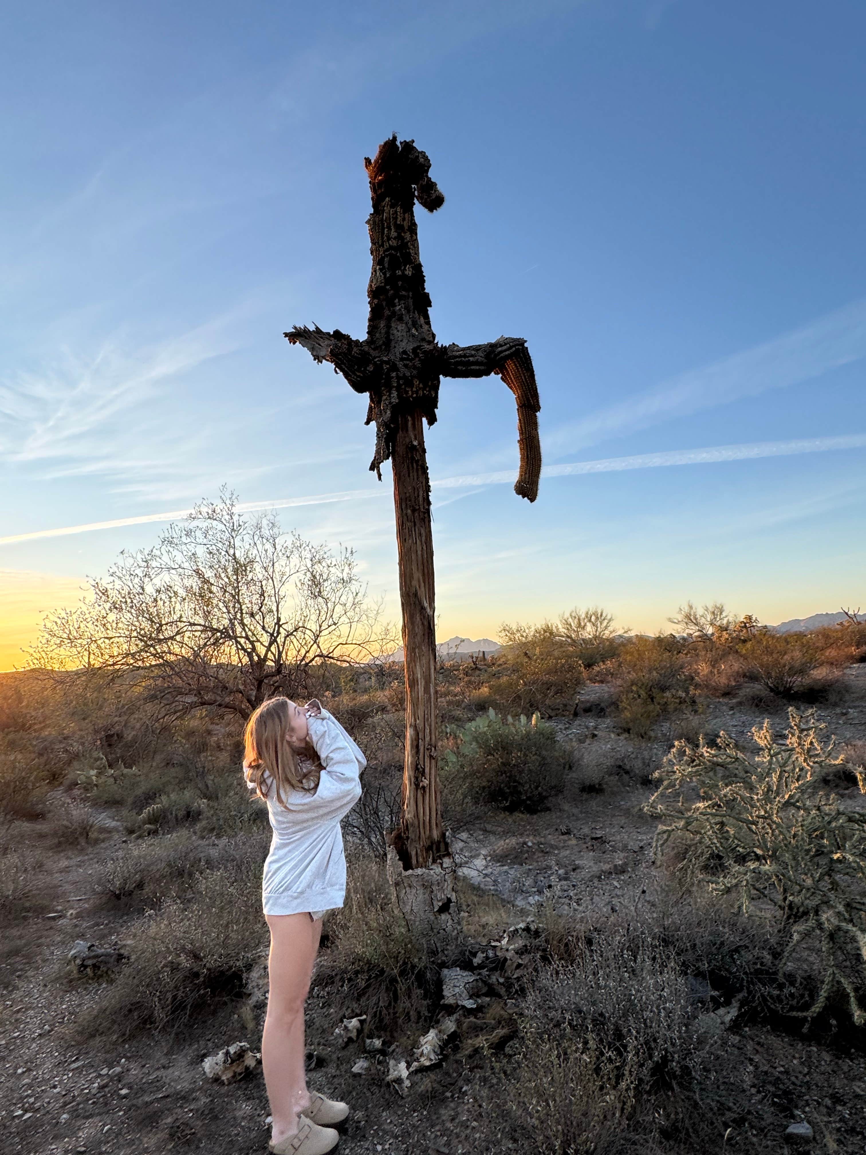 Camper-submitted photo at Superstition Mountain AZ state trust dispersed near Superior, AZ