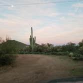 Review photo of Superstition Mountain AZ state trust dispersed by Sue B., January 13, 2026