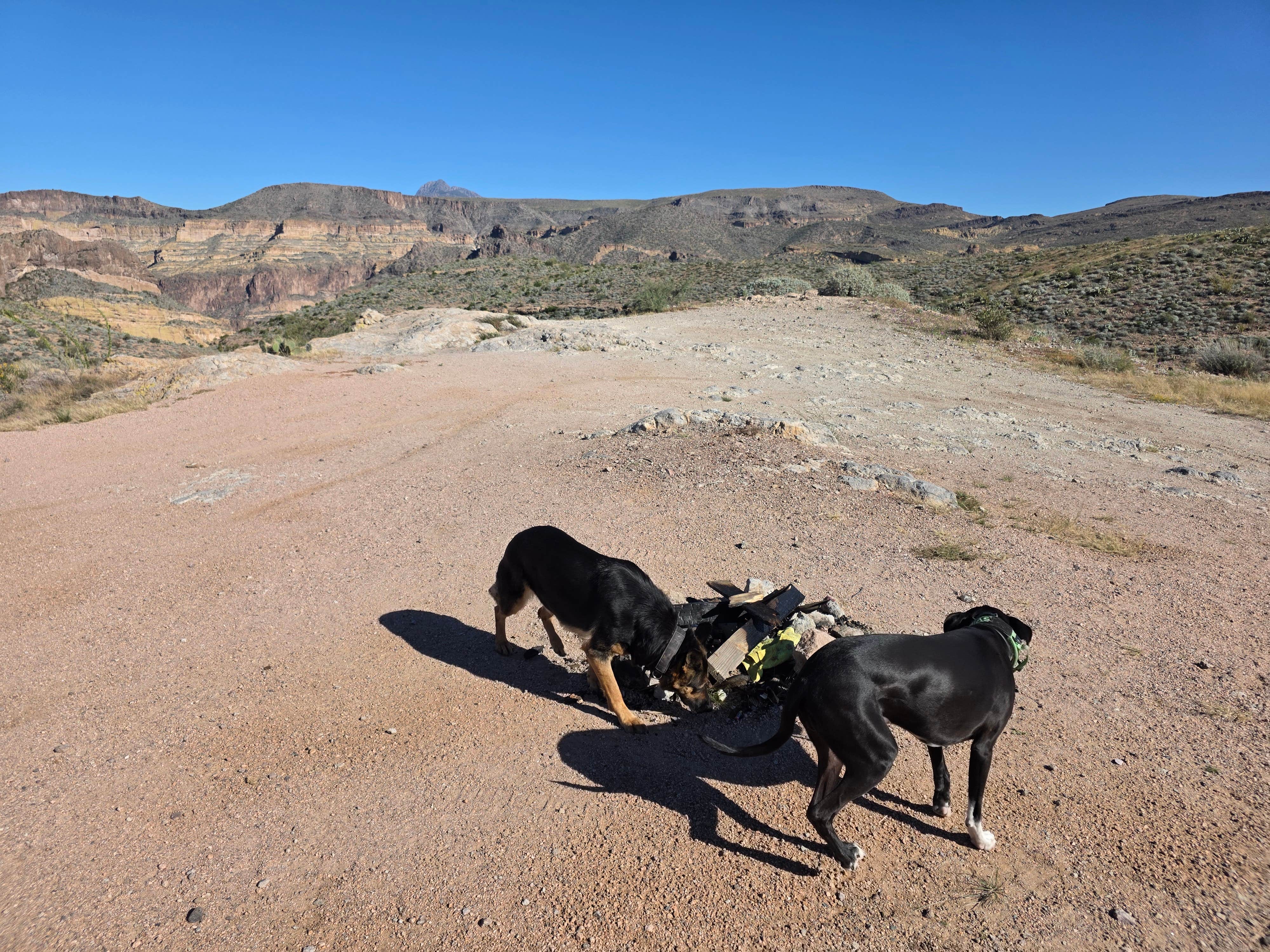 Camper-submitted photo at Superstition Mountains -- Dispersed Sites along Hwy 88 near Superstition Mobile Ranch, AZ