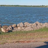 Review photo of COE Fort Supply Lake Supply Park by Jon S., May 9, 2024