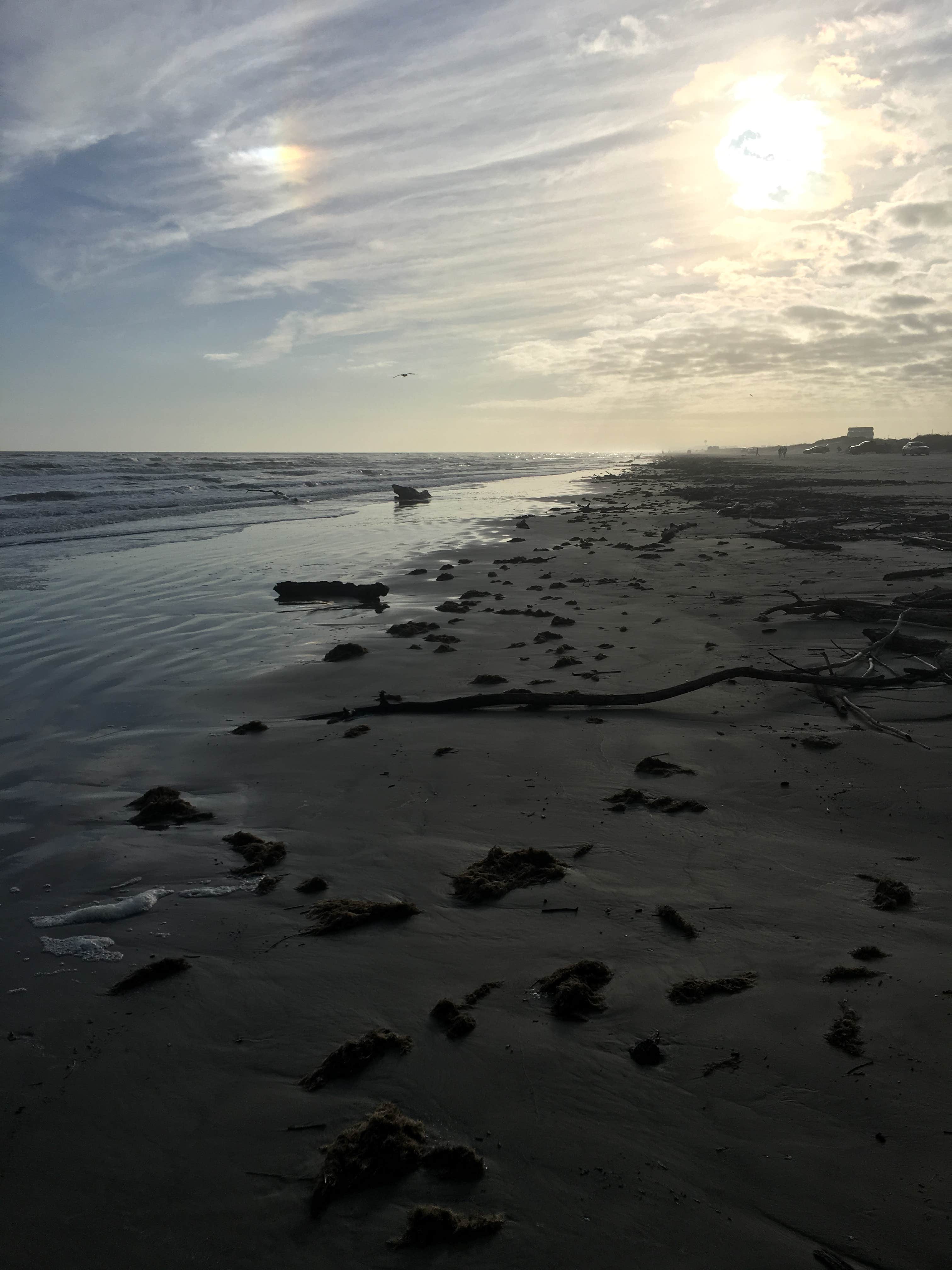 Lexi W.'s photo of a dispersed camping area at Surfside Beach Dispersed Camping near Needville, TX