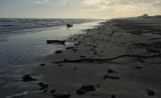 Lexi W.'s photo of a dispersed camping area at Surfside Beach Dispersed Camping near Texas City, TX