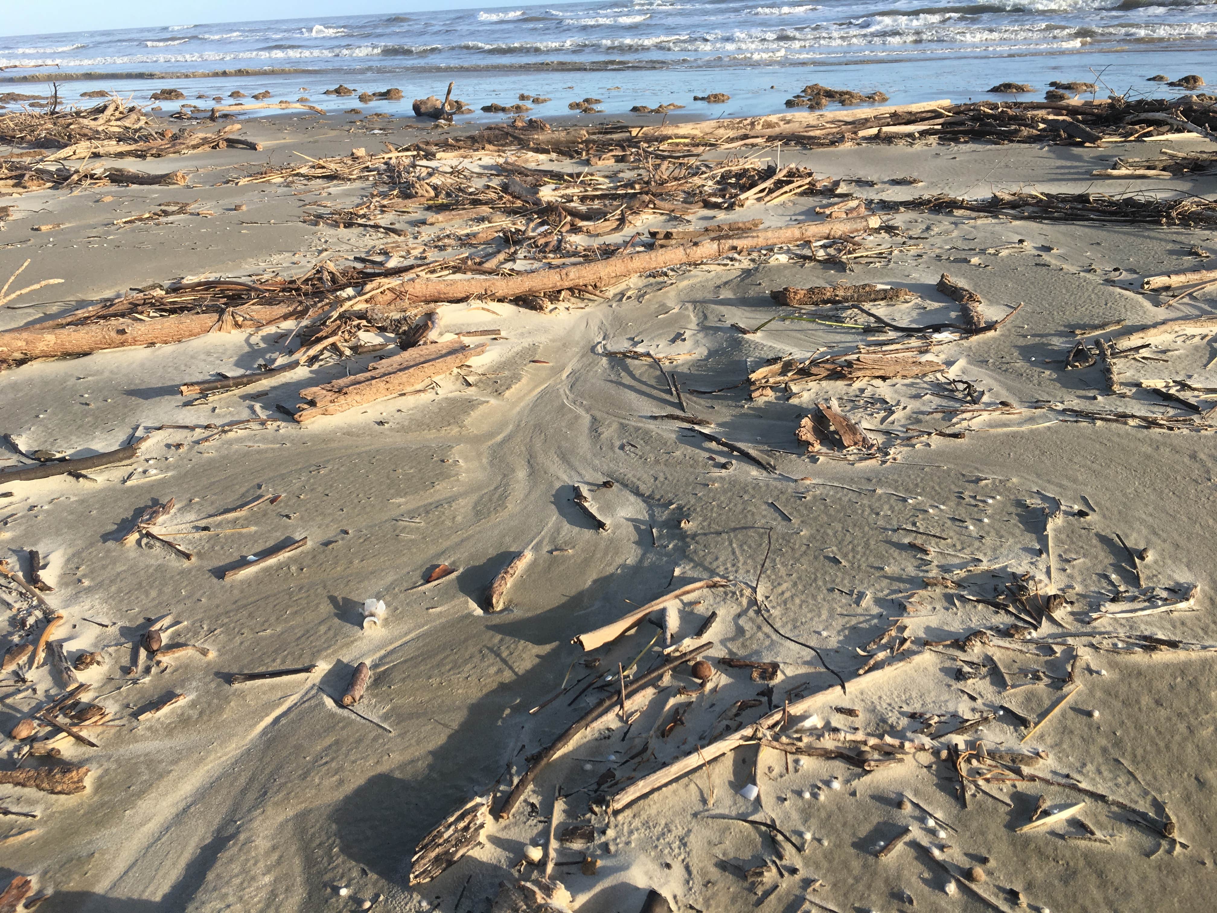 Surfside Beach Dispersed Camping