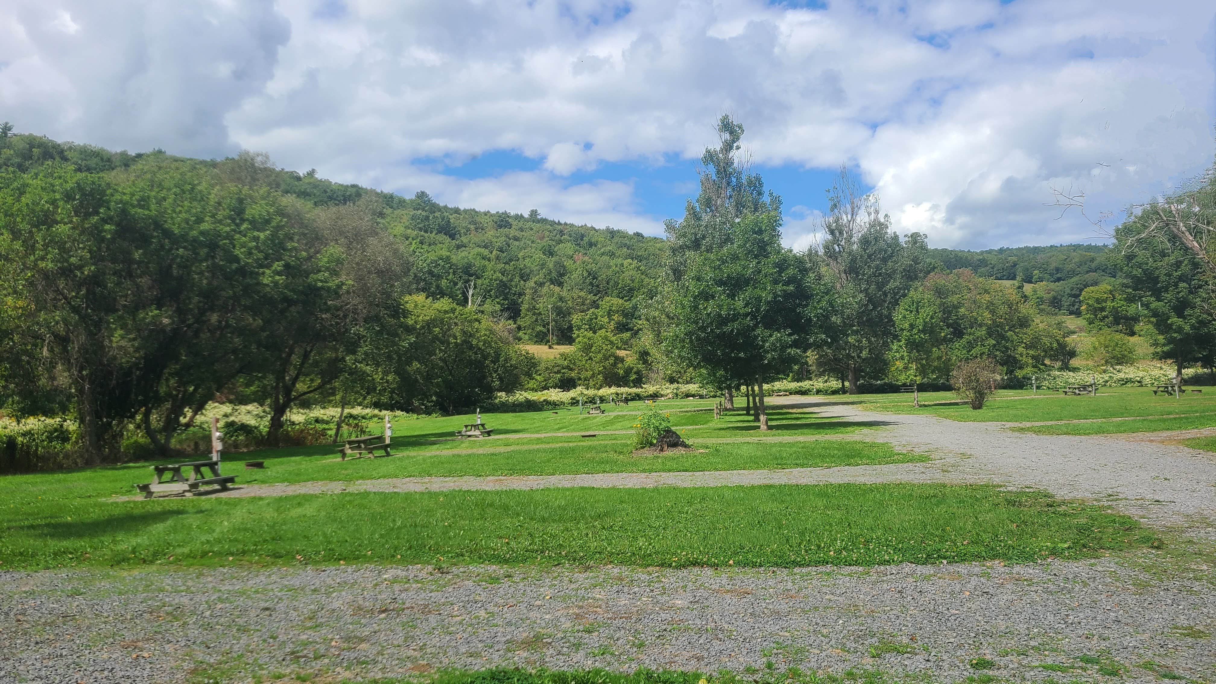 David M.'s photo of camping with pets at Susquehanna Trail Campground Oneonta New York near South Plymouth, NY