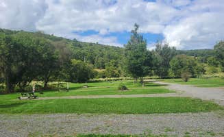David M.'s photo of camping with pets at Susquehanna Trail Campground Oneonta New York near South Plymouth, NY
