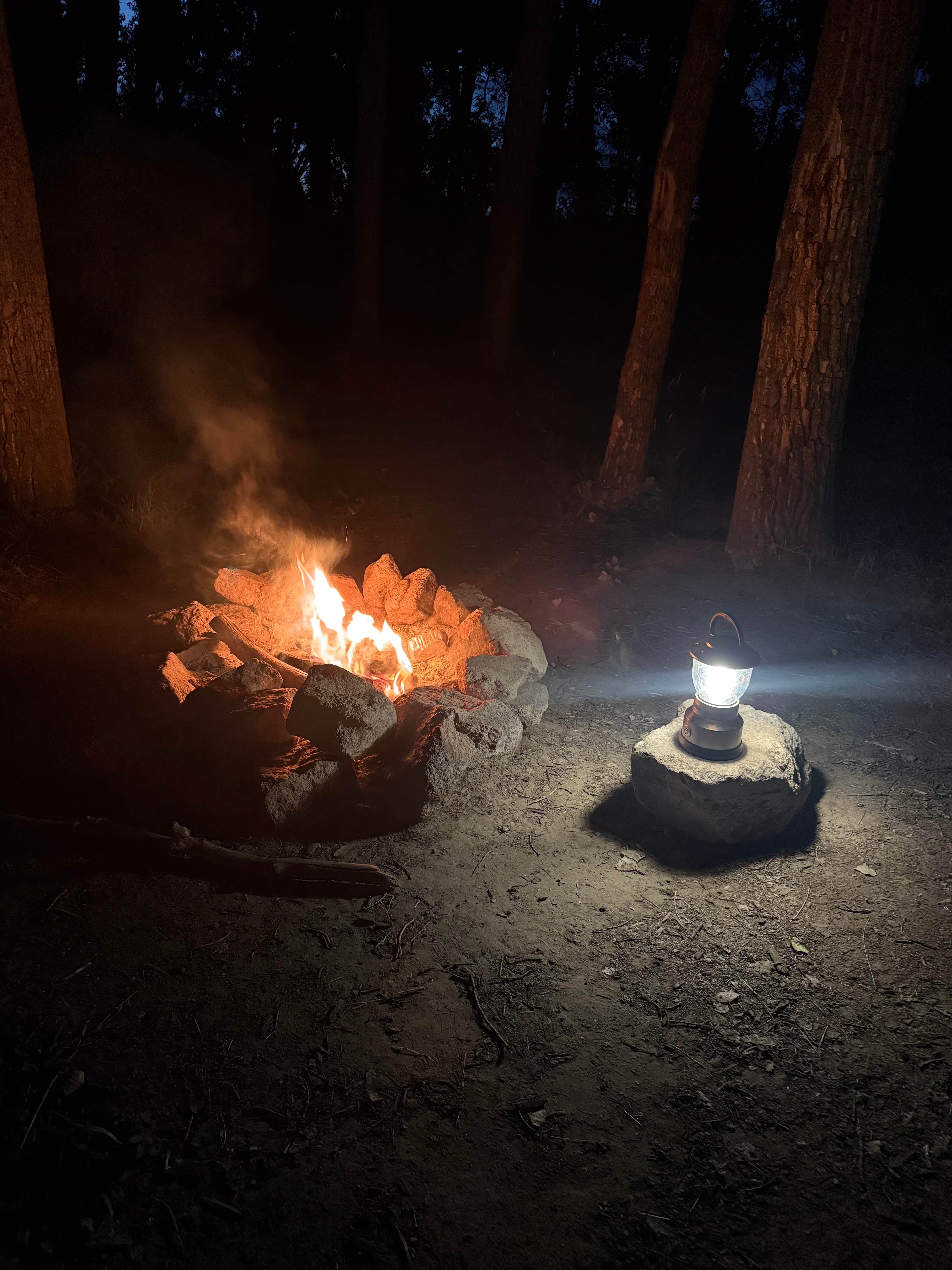 Camper-submitted photo at Westshore Camping Area in Nebraska