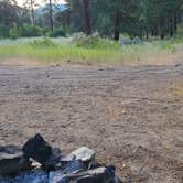 Review photo of Swakane Canyon/Creek Campsite - Dispersed by Maja K., July 10, 2025
