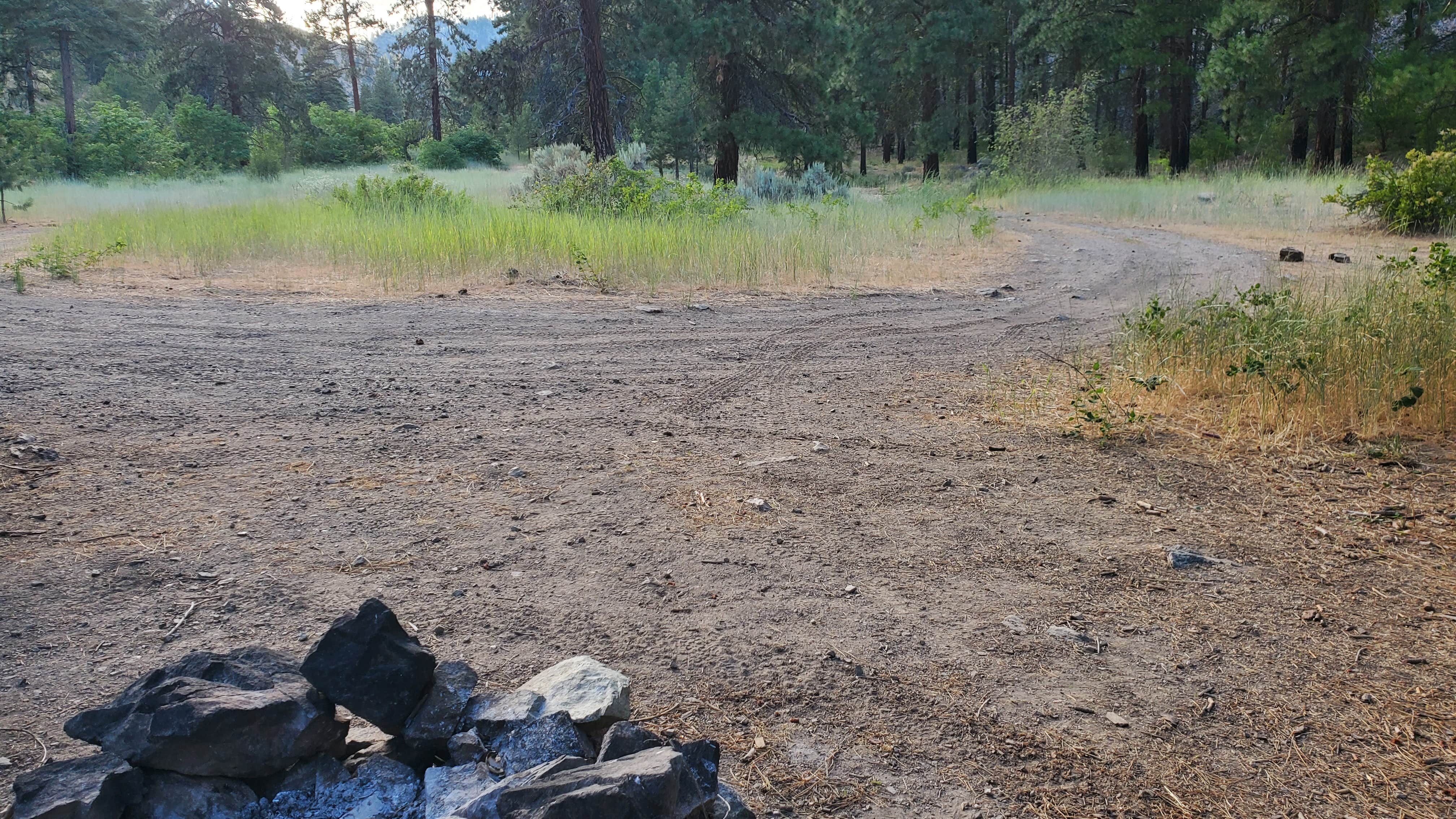 Camper submitted image from Swakane Canyon/Creek Campsite - Dispersed - 1