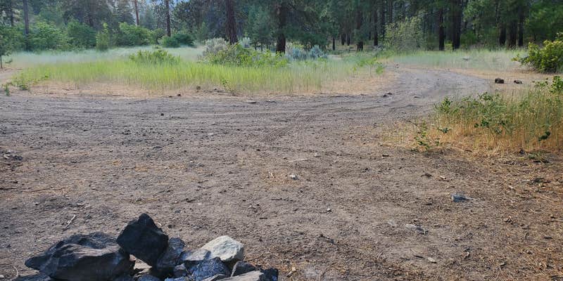 Camper submitted image from Swakane Canyon/Creek Campsite - Dispersed