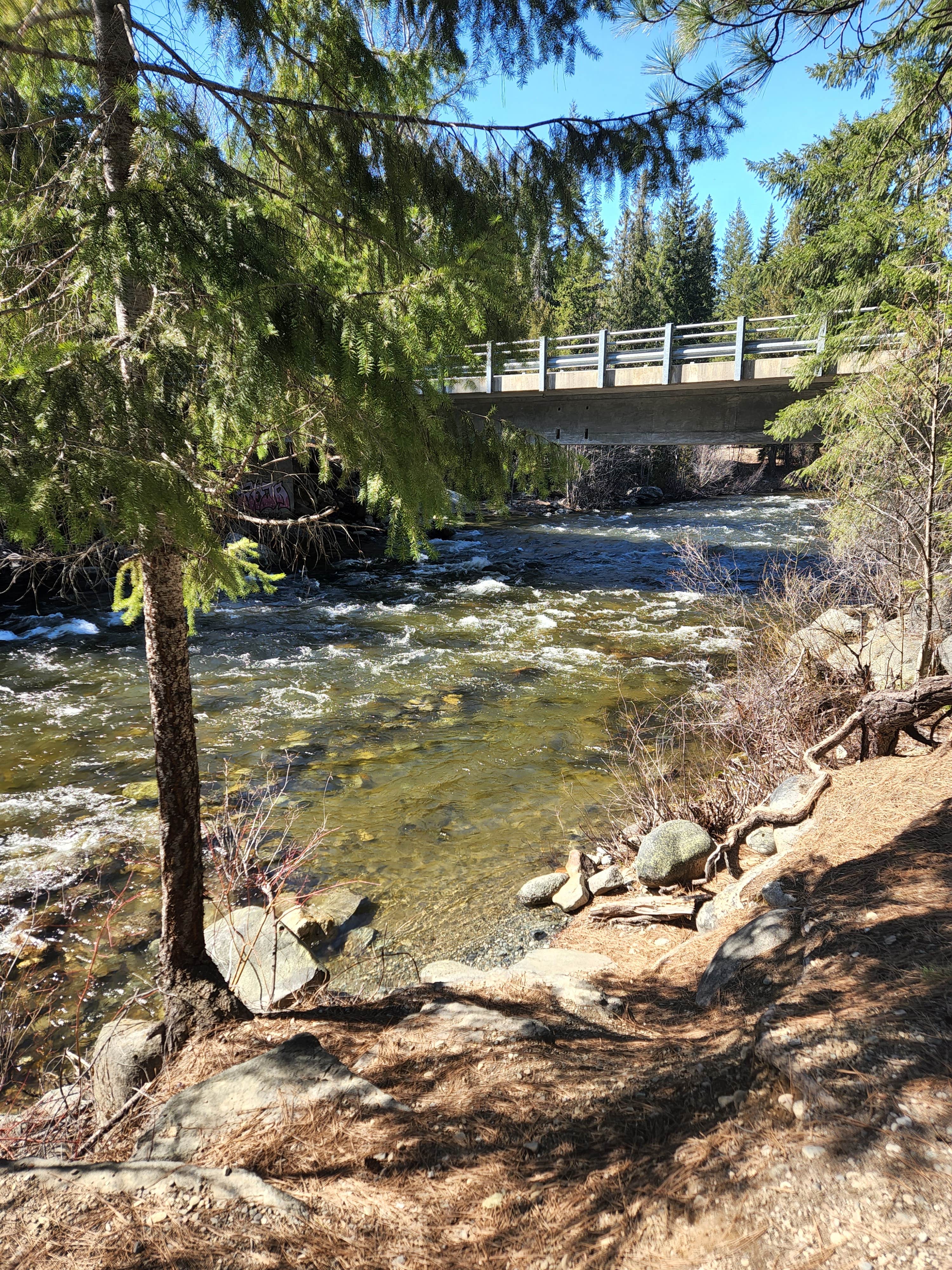Camping near Chelan Lookout - NF 8410 Dispersed: Swallow Caves Dispersed, Ardenvoir, Washington
