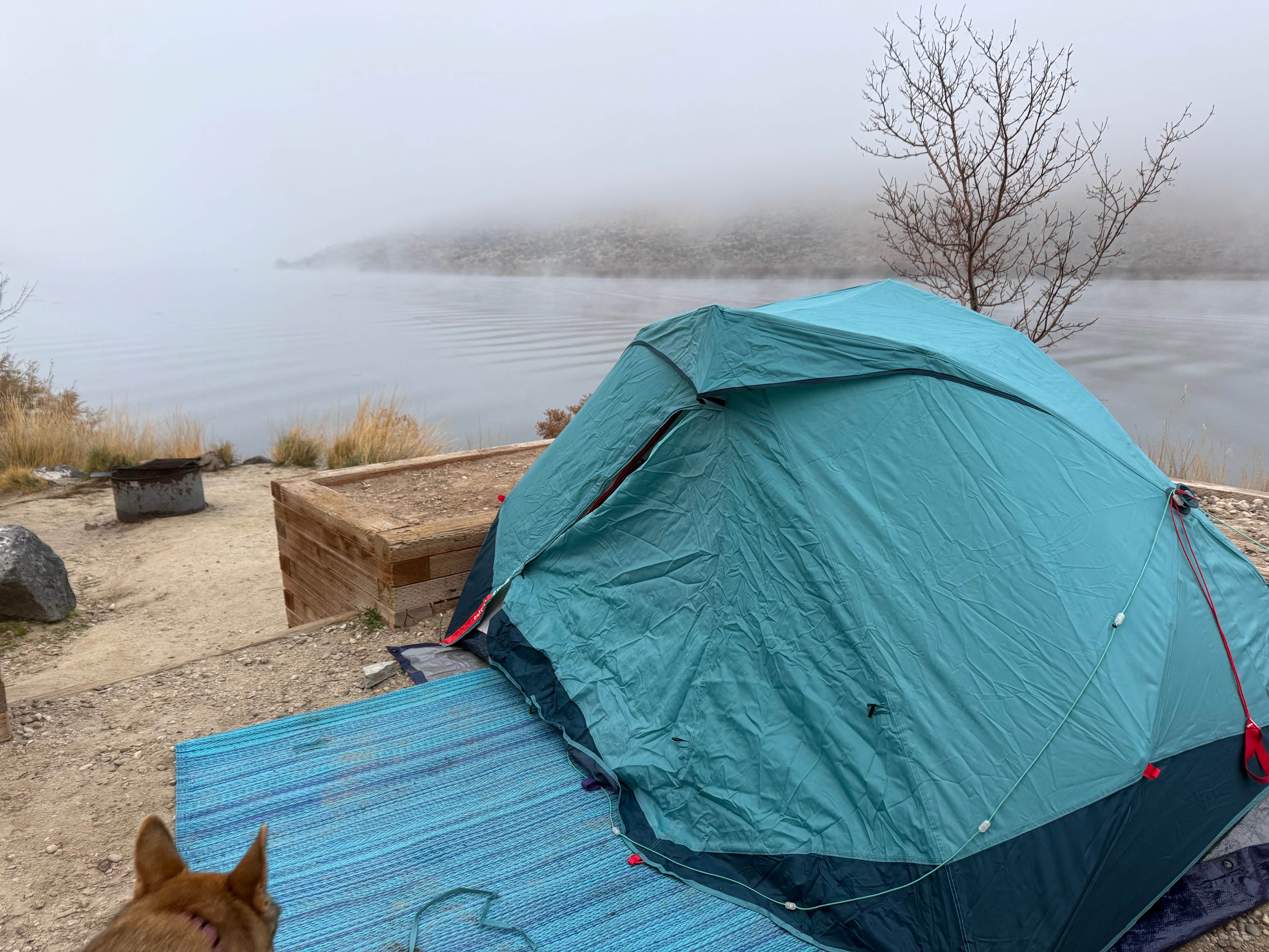 Camper submitted image from Swan falls and Snake River Bluffs - 1