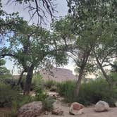 Review photo of Swasey's Beach Campground — Desolation Canyon by Athena M., May 12, 2025