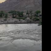 Review photo of Swasey's Beach Campground — Desolation Canyon by Belinda H., July 12, 2025