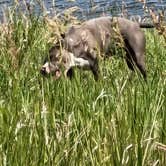 Review photo of Sweet Briar Lake Campsites by Michelle C., June 26, 2026