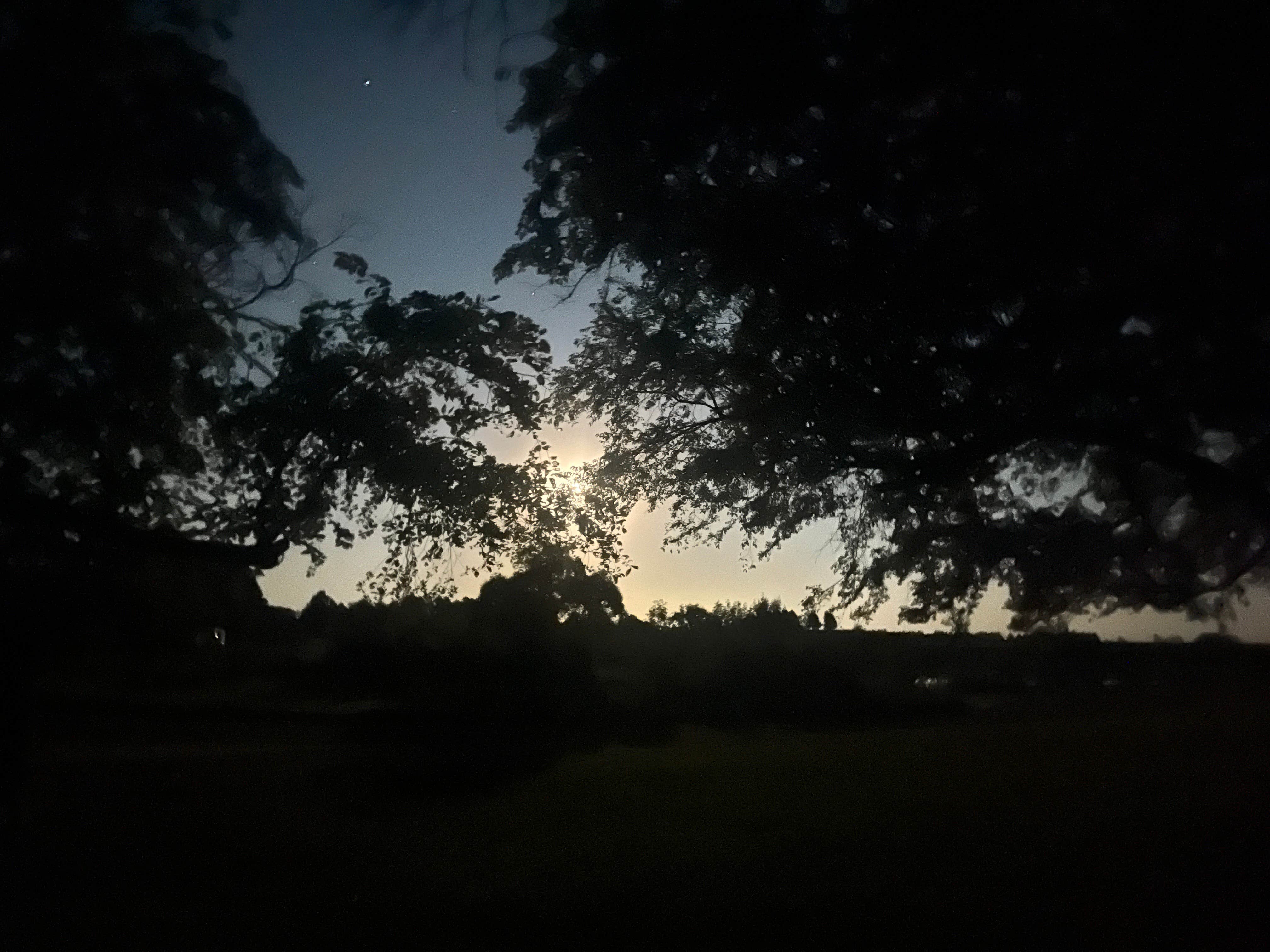 Camper submitted image from Sweet Briar Lake Campsites - 1